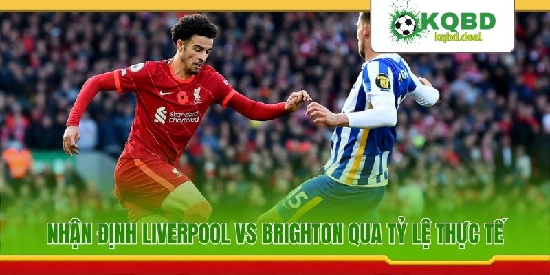 Nhận định Liverpool vs Brighton qua tỷ lệ thực tế